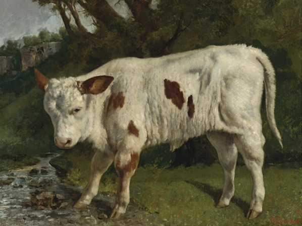 Le Veau Blanc, Gustave Courbet